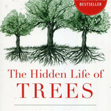 The Hidden Life of Trees The International Bestseller Peter Wohlleben