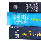 Photo of Benjamin Alire Saenz 3 Book Collection Set Spines on a White Background