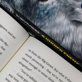Erin Hunter Survivors Series 3 Books Collection Set (Darkness Falls, A Hidden Enemy, The Empty City)