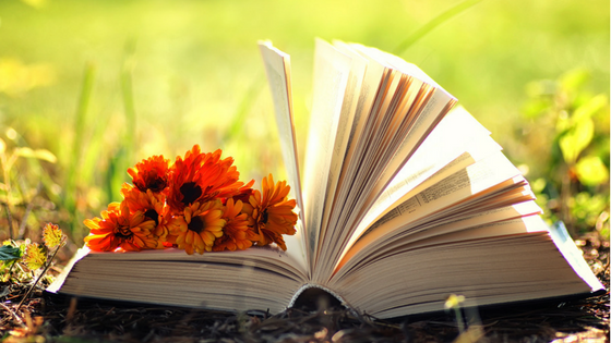 SPRING READING 📚 💐 – Miina Books Ltd