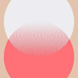 Mr Salary: Faber Stories