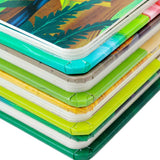 Peep Inside Board Books What Can You See? 4 Books Collection Box Set