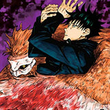 Jujutsu Kaisen, Vol. 2: Fearsome Womb: Volume 2 by Gege Akutami Paperback