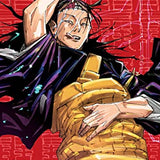 Jujutsu Kaisen, Vol. 16 Book: The Shibuya Incident--Gate Closed--: Volume 16 (Paperback)