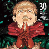 Jujutsu Kaisen, Vol. 30 Book: Volume 30 (Paperback)
