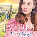 One Perfect Family: The final instalment in the uplifting Ellindale Saga (Ellindale Series)