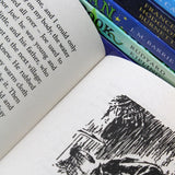 The Puffin Classics Story Collection 10 Books Set