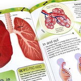 DK Seriously Brilliant Biology 3 books set by Steve Mould (The DNA Book, The Bacteria Book, The Body Book) | Hardback