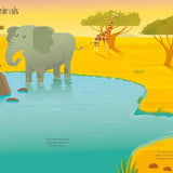 Animals Activity Pack 3 Book Box Set | Sticker Book with 200+ Stickers, Colouring Book & Spotting Activity Book for Kids