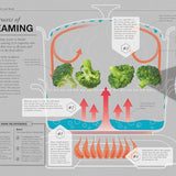 The Science of Cooking by Dr Stuart Farrimond | Every Question Answered to Perfect Your Cooking | Illustrated Hardcover Cookbook & Food Science Guide