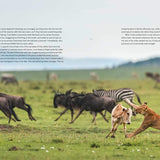 Dynasties The Rise and Fall of Animal Families Stephen Moss David Attenborough