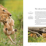 Dynasties The Rise and Fall of Animal Families Stephen Moss David Attenborough