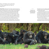 Dynasties The Rise and Fall of Animal Families Stephen Moss David Attenborough