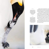 Dynasties The Rise and Fall of Animal Families Stephen Moss David Attenborough