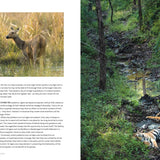 Dynasties The Rise and Fall of Animal Families Stephen Moss David Attenborough