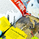 National Geographic Kids Mega 24-Book Set- Predators, Earth Science & Ecosystems - Fun Nonfiction STEM Books for Curious Kids