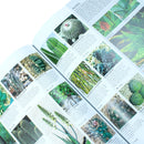 RHS Encyclopedia of Plants and Flowers by Christopher Brickell | Ultimate Gardening Book for Plant Care, Garden Design, Horticulture & Flower Guide
