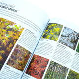 RHS How to Garden When You're New to Gardening, The Basics for Absolute Beginners, Perfect for beginners