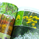 New Wild Garden: Natural-Style Planting And Practicalities By Ian Hodgson