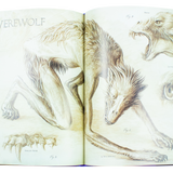 Harry Potter and the Prisoner of Azkaban, Illustrated Edition by J.K. Rowling, (Hardback)