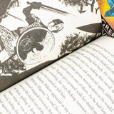 Viking Boy Series 4 Books Collection Set by Tony Bradman (Viking Boy, Greek Boy, Anglo-Saxon Boy & Roman Boy) | Paperback