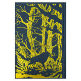A Court of Thorns and Roses Collector's Edition