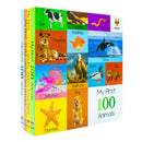 y First 100 Words Box Set 4 Board Books Collection Set(Words, Animals, Colours, Shapes and Numbers, Letters and Phonics)