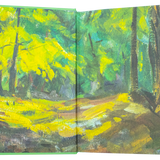 Aesops Fables Leatherbound