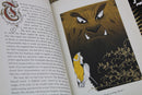 Beauty and the Beast, The (MinaLima Edition): Illustrated with Interactive Elements By Gabrielle-Suzanna Barbot de Villenueve