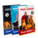 Cesar Millan 3 Books Collection Set Perfect Dog, Cesar's Way