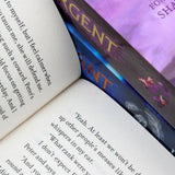 Divergent Insurgent Allegiant Trilogy 4 Books Collection By Veronica Roth