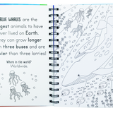 Magic Water Colouring Activity Collection 3 Book Set By Jenny Copper(Horses & Unicorns, Mermaids, Under the Sea)