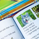 Usborne Beginners Animals Collection 10 Books Box Set (Bears, Dangerous Animals, Elephants, Farm Animals, Monkeys, Pandas, Penguins, Sharks, Tigers & Wolves)