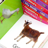 My First Little Library Collection 10 Boardbooks Box set