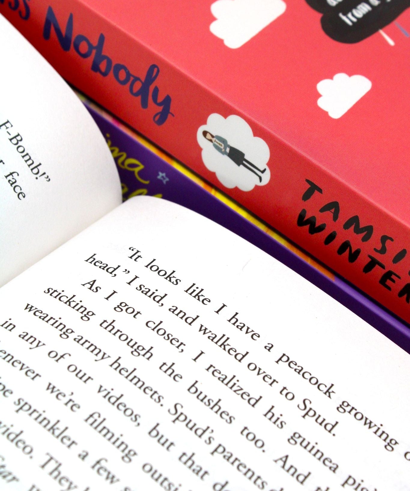 Photo of Tamsin Winter 3 Books Collection Pages