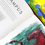 J.K. Rowling Illustrated Edition Collection 3 Books Set Hardback (Fantastic Beasts and Where to Find Them, Quidditch Through the Ages, The Tales of Beedle the Bard)