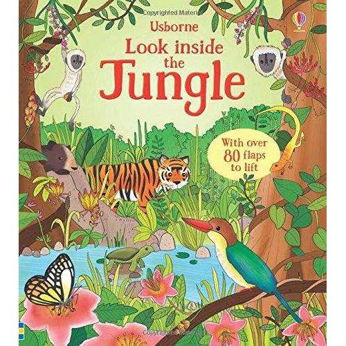 Usborne Look Inside Our world 6 Books Collection Set ( Seas and Oceans, Nature,Our World,Animal Homes,Jungle,Space)