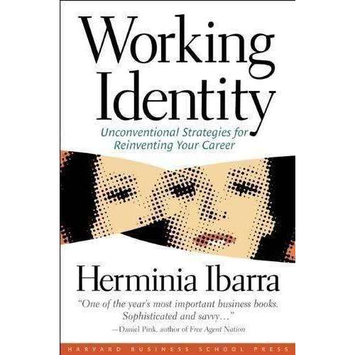 Working Identity Unconventional Strategies Reinventing Your Career Book